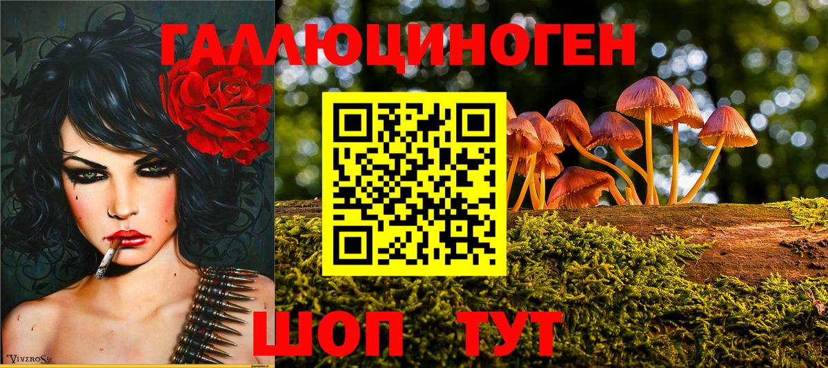 Галлюциногенные грибы Psilocybine cubensis  Вход с VPN  Северобайкальск 